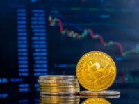 São José dos Pinhais passa a aceitar criptomoedas para pagamento de dívidas municipais