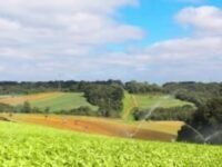 São José dos Pinhais abre inscrições para distribuição de fertilizantes pelo Programa Terra Fértil