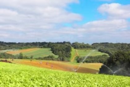 São José dos Pinhais abre inscrições para distribuição de fertilizantes pelo Programa Terra Fértil