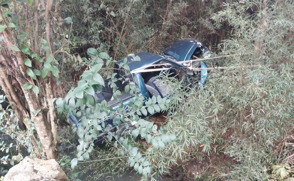 Motorista perde controle de caminhonete, atravessa córrego e bate em árvore em São José dos Pinhais