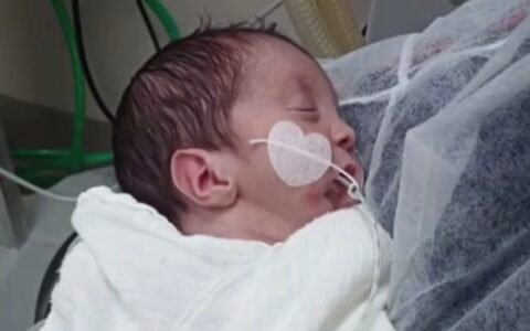 Bebê Noah recebe alta após ser encontrado vivo duas horas depois de ter sido declarado morto
