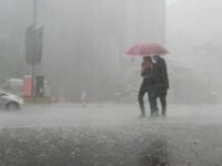 São José dos Pinhais tem alerta para tempestades e ventos fortes nos próximos dias