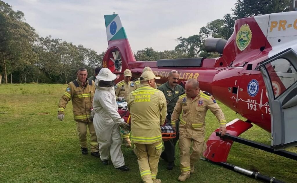 Trabalhador morre após ser atacado por enxame de abelhas em São José dos Pinhais