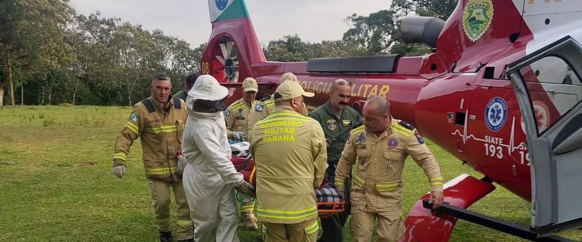Trabalhador morre após ser atacado por enxame de abelhas em São José dos Pinhais