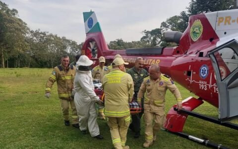 Trabalhador morre após ser atacado por enxame de abelhas em São José dos Pinhais