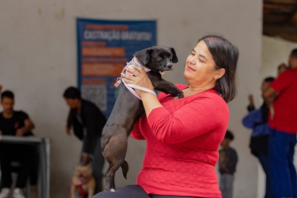 São José dos Pinhais realiza mais de 600 castrações gratuitas de cães e gatos em agosto