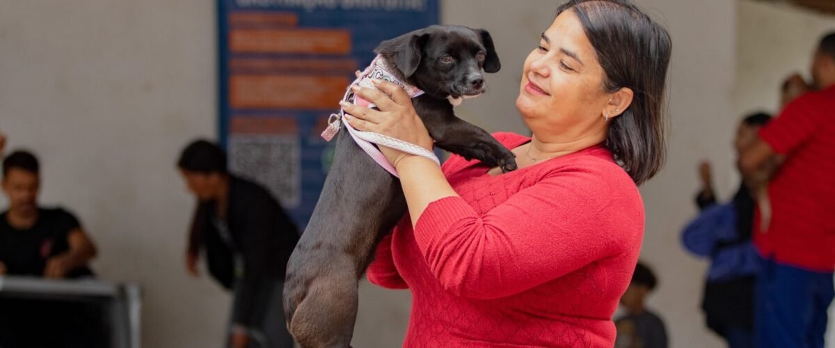 São José dos Pinhais realiza mais de 600 castrações gratuitas de cães e gatos em agosto