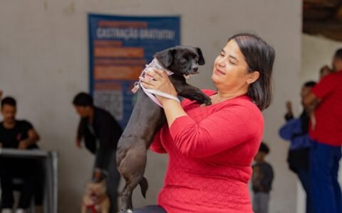 São José dos Pinhais realiza mais de 600 castrações gratuitas de cães e gatos em agosto